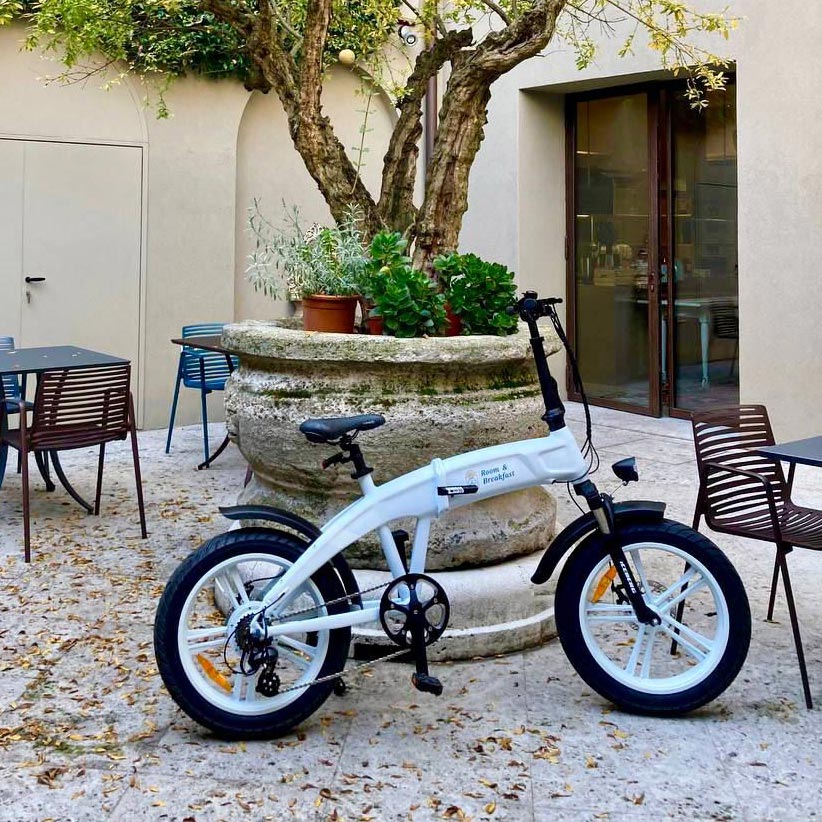 noleggio-e-bike